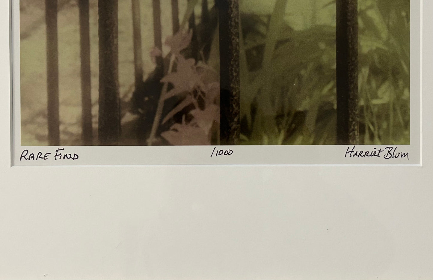 Harriet Blum - “Rare Find” Framed Signed Limited Edition Photography Art Print (Edition of 1,000) (21st Century) (New Orleans, Louisiana)