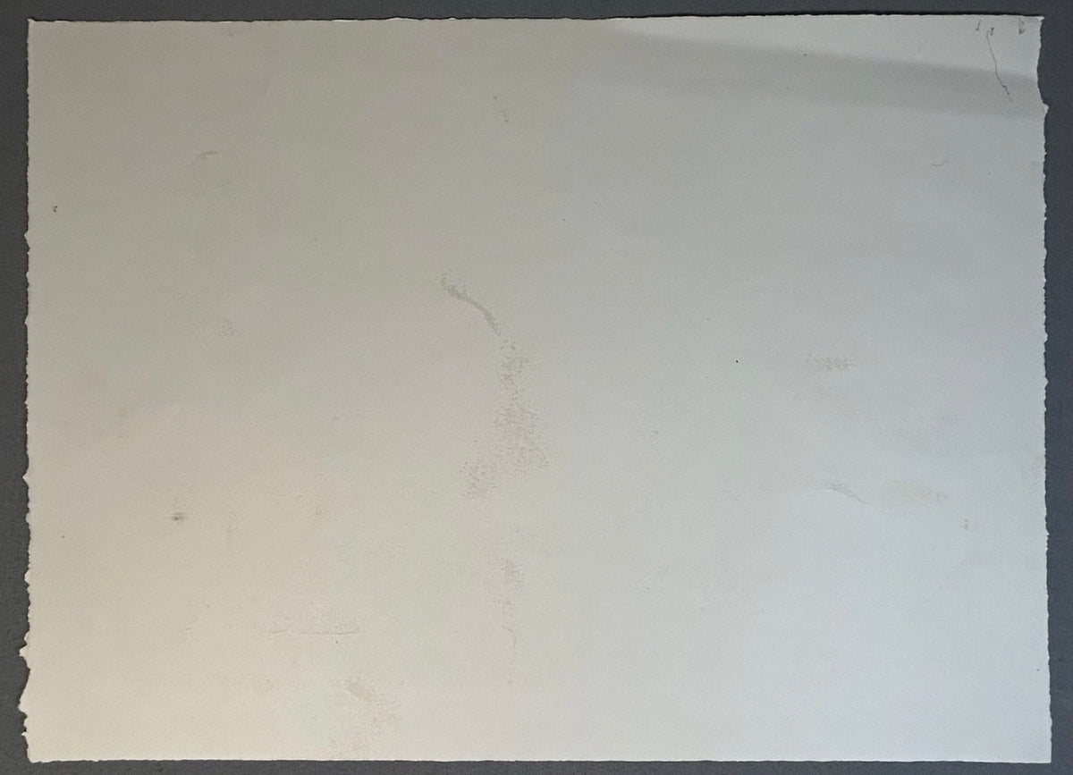 Sean Gardner - Untitled Surrealist Landscape Signed Limited Edition Intaglio Etching (#2/6) (Louisiana)