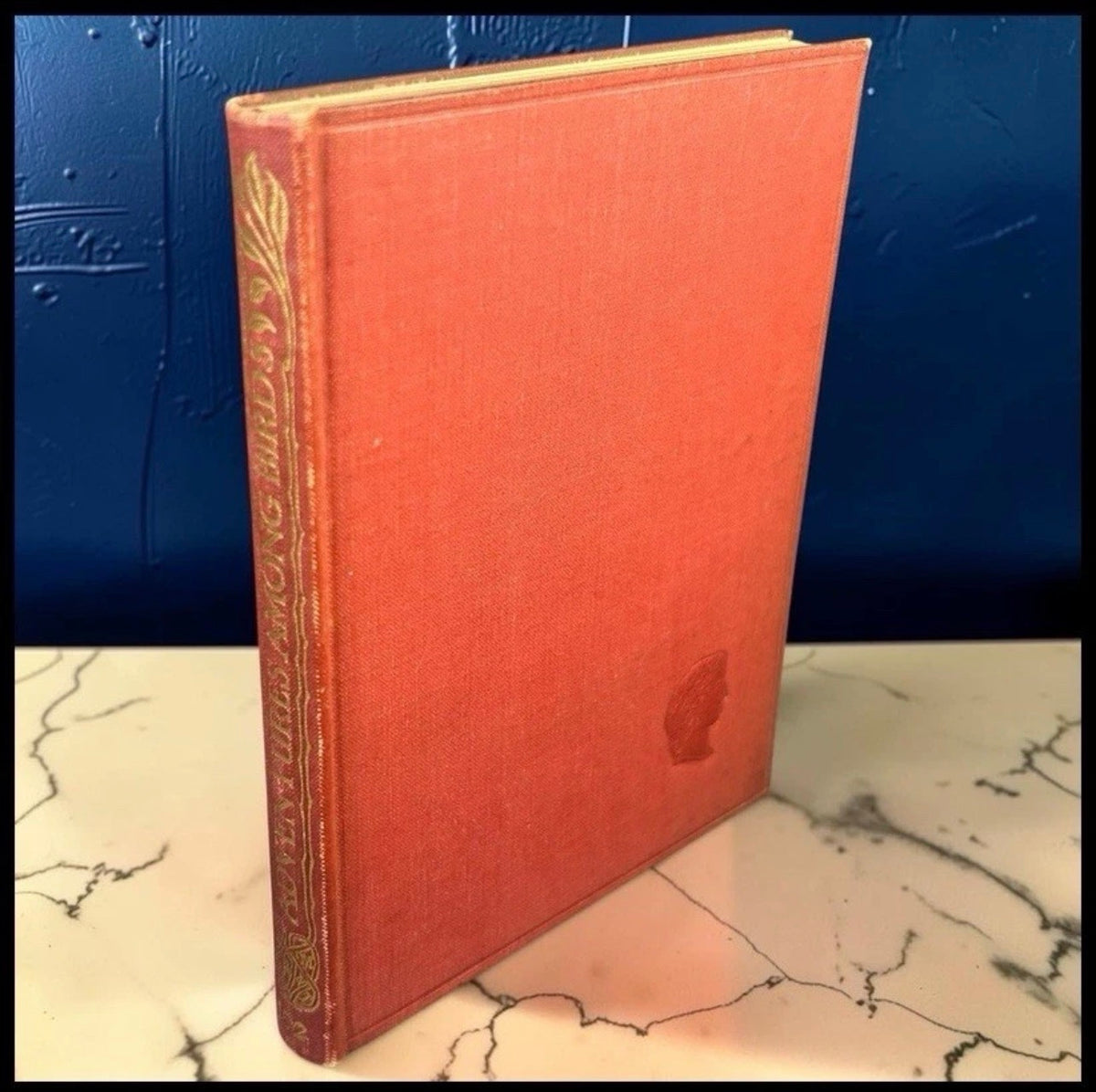 1932 “Adventures Among Birds” by W.H. Hudson Hardcover Book