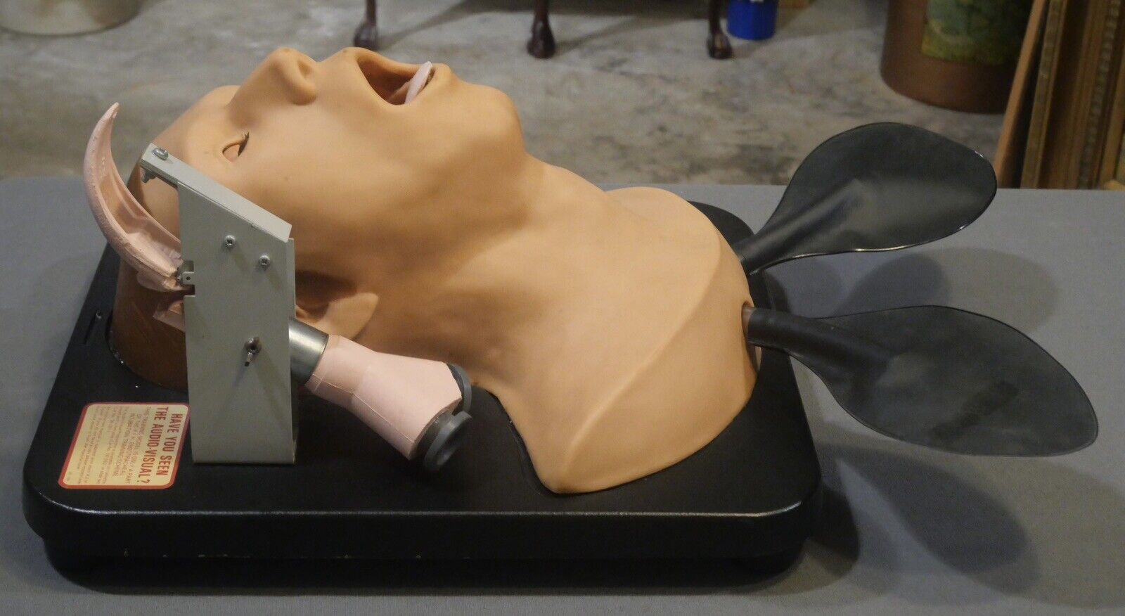 Vintage 1970's English Vitalograph Medical Instrumentation R.F.H. Intubation Trainer